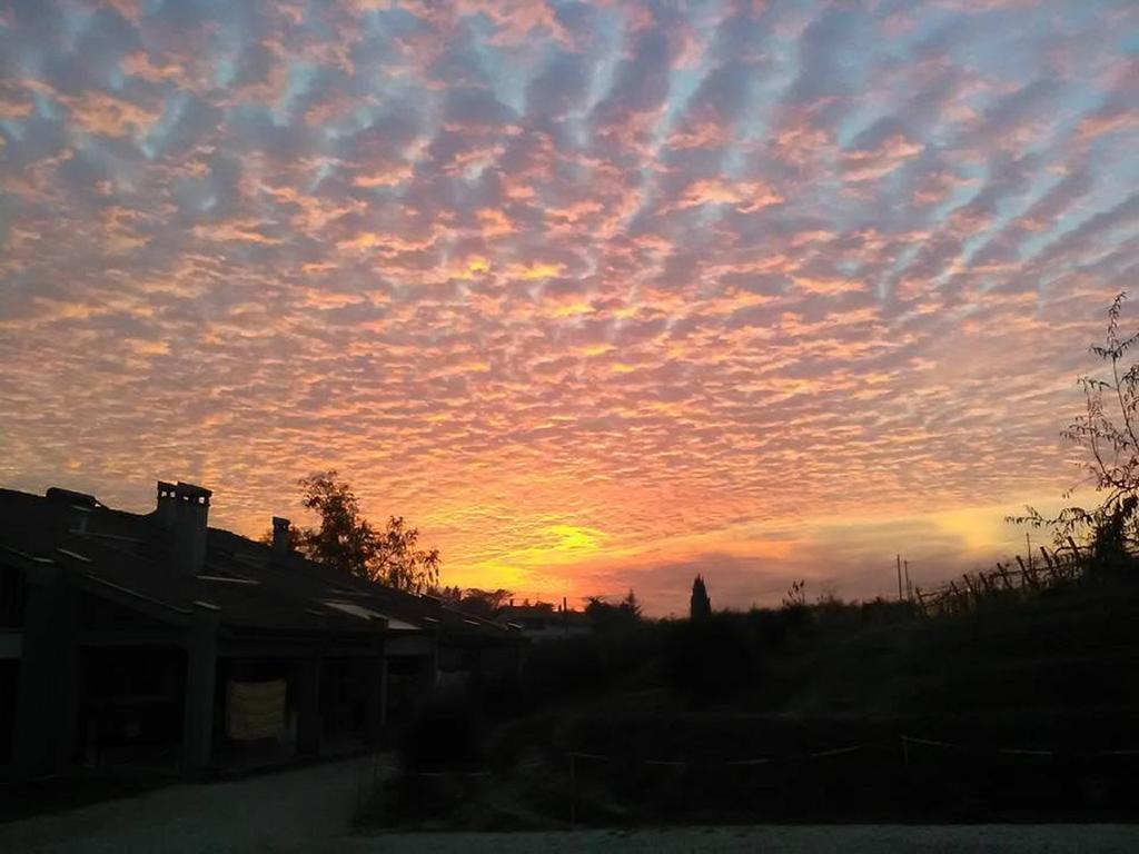 צ'זנה Agriturismo Le Essenze - Terrazza Sulla Romagna מראה חיצוני תמונה